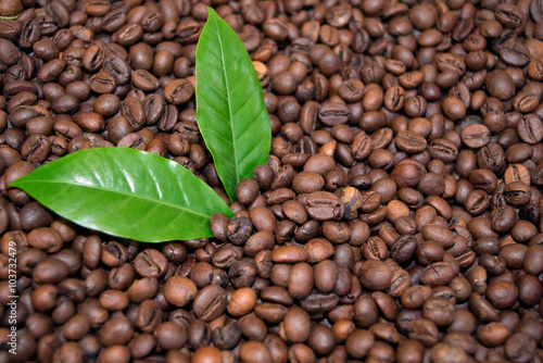 Roasted Coffee Beans Espresso and green leaf Coffee