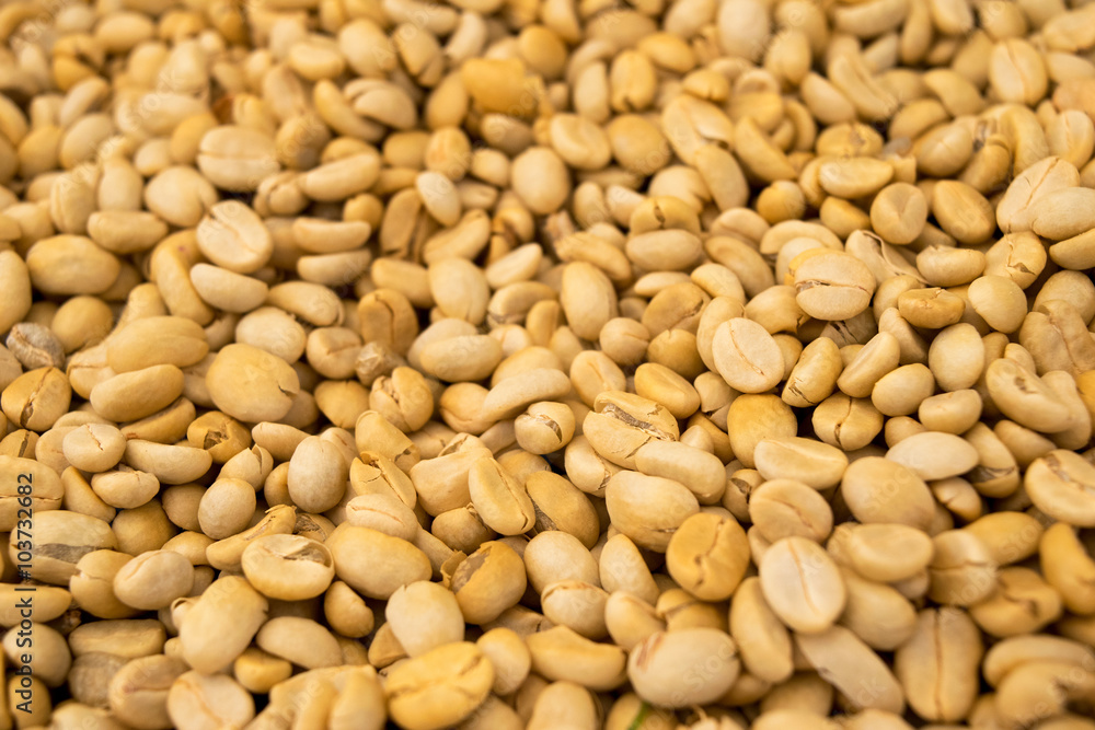 Raw coffee beans (Not roasted) abstract background textures Raw coffee beans (Not roasted) abstract background textures