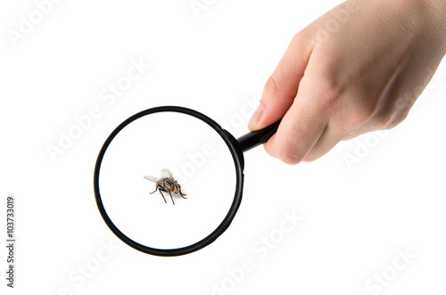 Hand holding magnifying glass isolated on white background