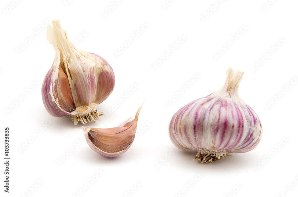 Obraz premium garlic isolated on white background