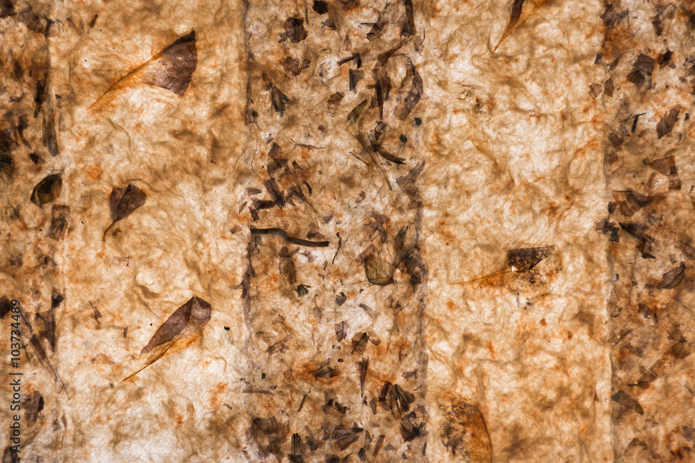 Closeup of handmademulberry papertexture background with leaf Closeup of handmademulberry papertexture background with leaf