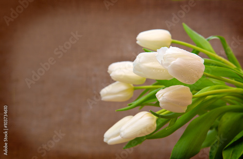 White tulip bouquet isolated .