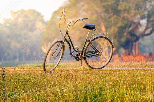 Landscape picture Vintage Bicycle with Summer grass field at sunset   vintage filter style  Classic bicycle