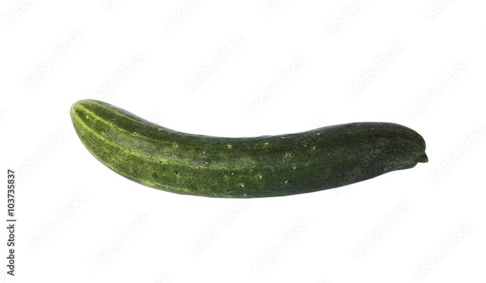Fresh Long Cucumber Fresh Long Cucumber