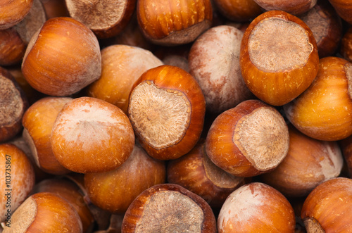nuts, hazelnuts as background