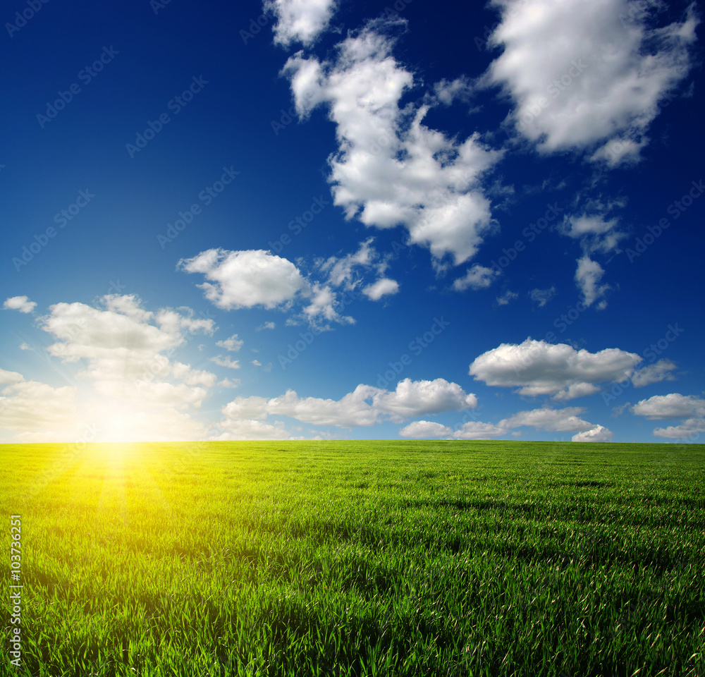 field and sun field and sun