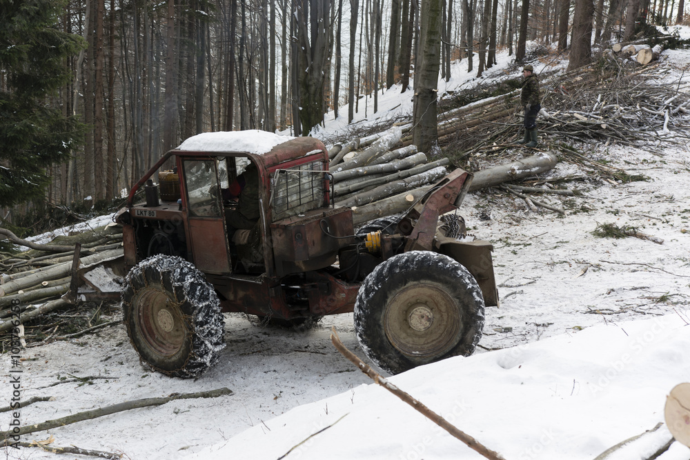 logging using the pulling cars logging using the pulling cars