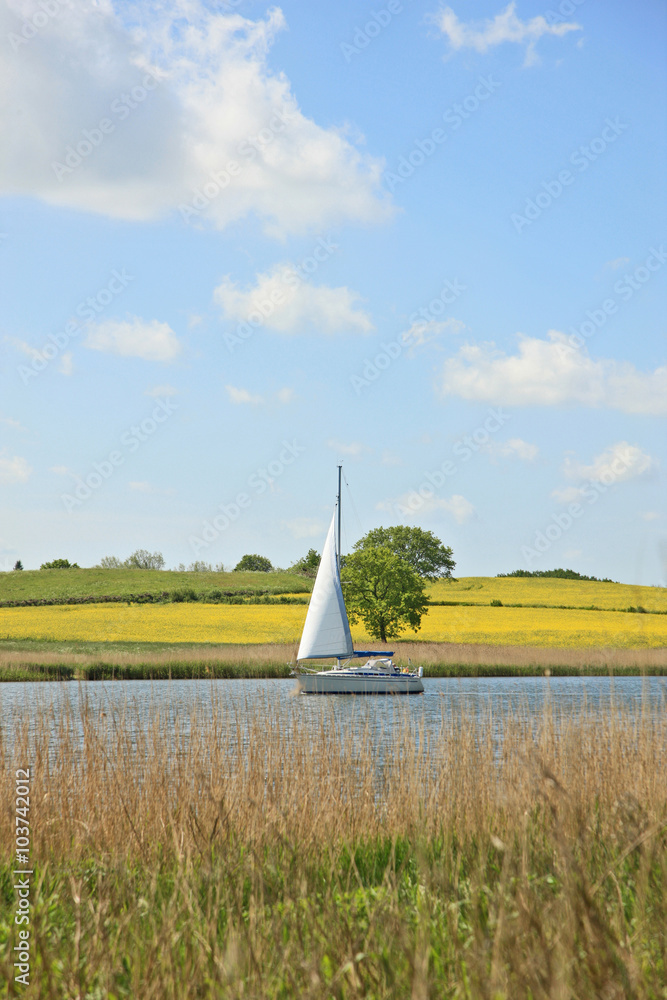 Fototapeta premium Segler auf der Schlei