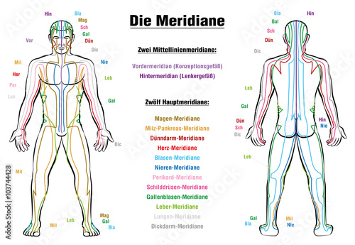 Meridian System Description Chart GERMANMeridian System Chart - GERMAN LABELING!- Male body with acupuncture meridians, anterior and posterior view.