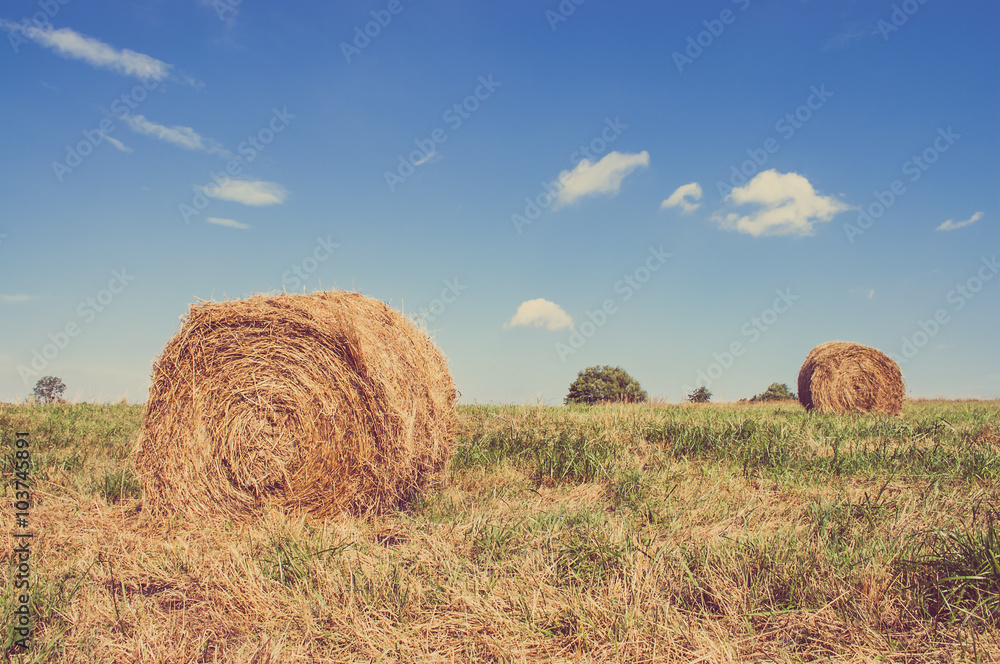 Beutiful landscape showing straw bales on stubble field Beutiful landscape showing straw bales on stubble field