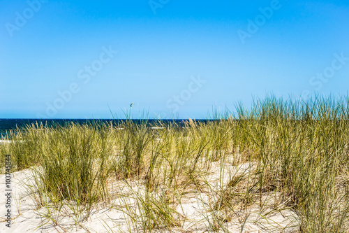 Grass sand dune beach sea view  Leba  Baltic Sea  Poland 