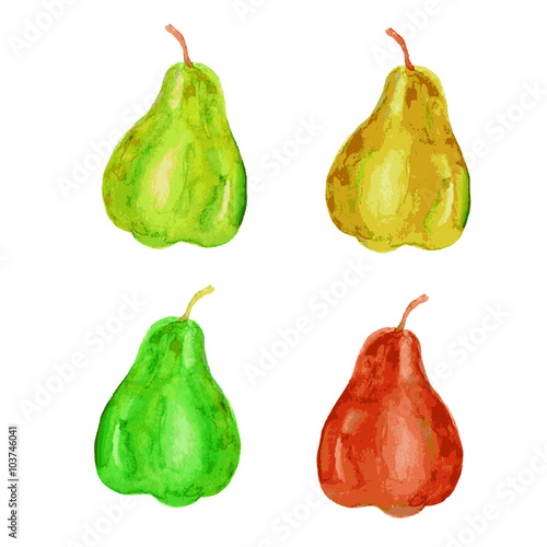 Set of watercolor pear isolated on white background, hand drawn illustration
