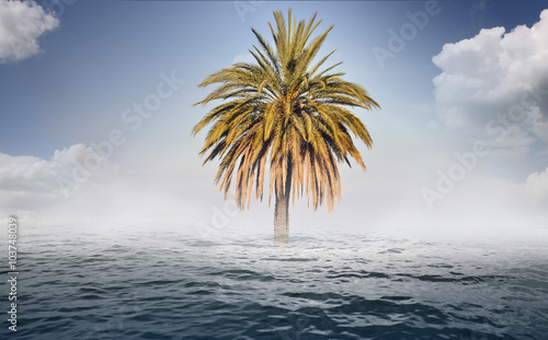 Mirage - palm and water - background © Savvapanf Photo ©