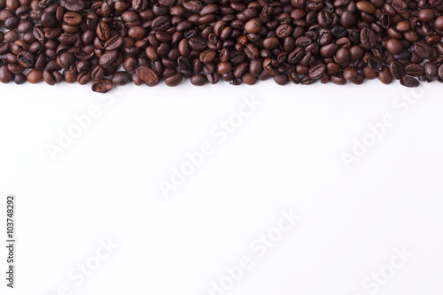 coffee bean