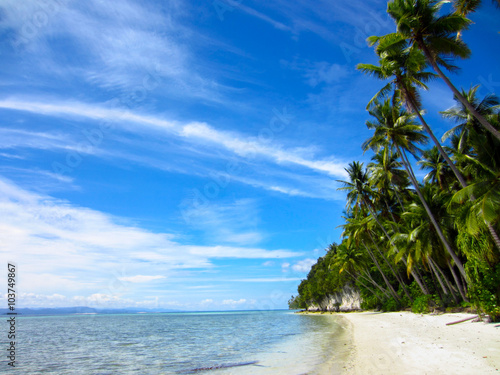 Palm, tropical beach and sea 