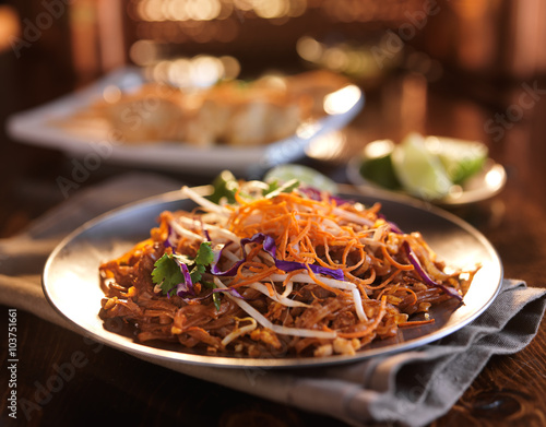 tasty beef pad thai meal with colorful garnishing