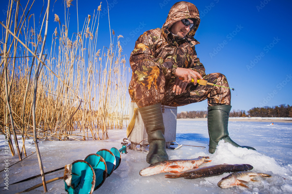 Naklejka premium ice fisherman with pike caught on a tip up