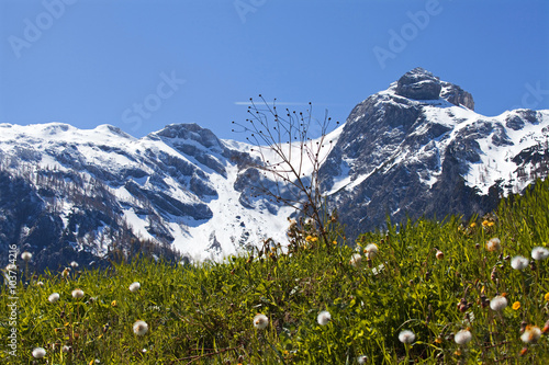 Das Hochbirg im Frühling photo