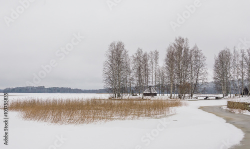 Wallpaper Mural Snowy, frozen lake and trees in Hämeenlinna, Finland Torontodigital.ca