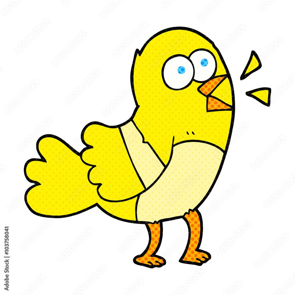 cartoon bird cartoon bird