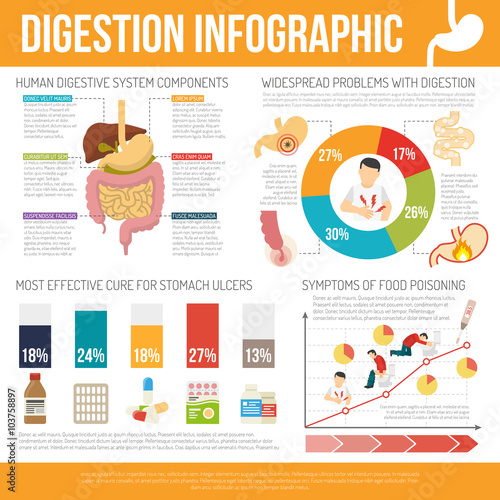 Digestion Infographic Set
