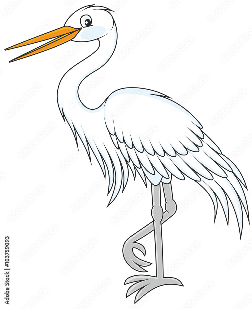 Fototapeta premium Egret