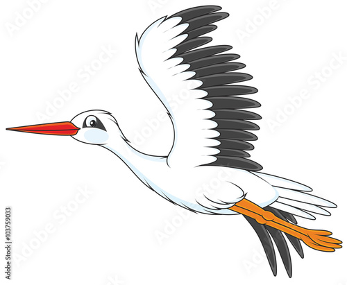 white stork flying