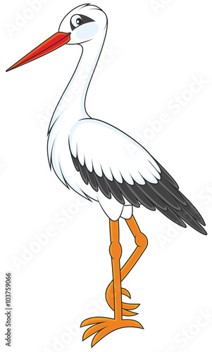 Stork