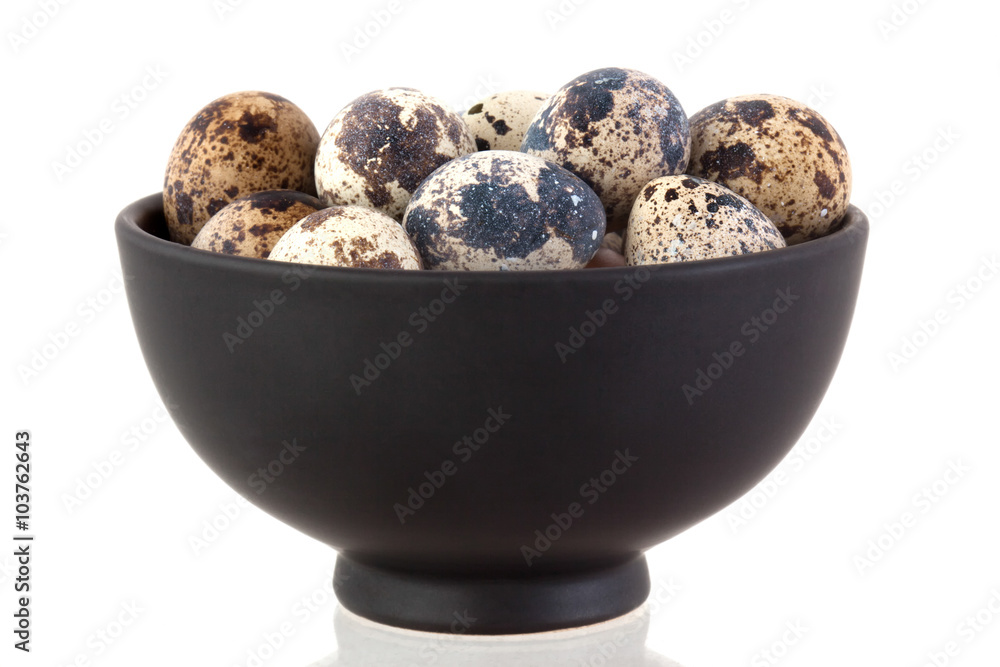 Obraz premium One quail egg