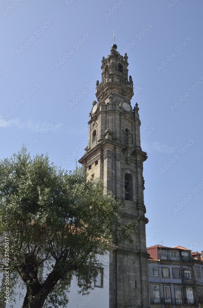 An olive tree and the Clerigos tower in Porto, Portugal An olive tree and the Clerigos tower in Porto, Portugal