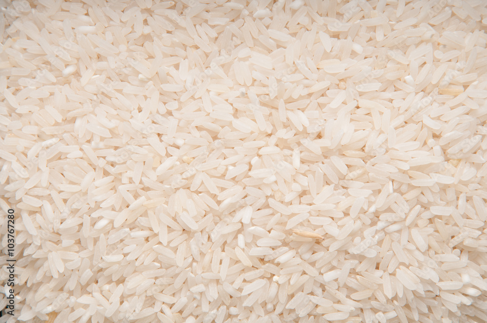 Rice Rice