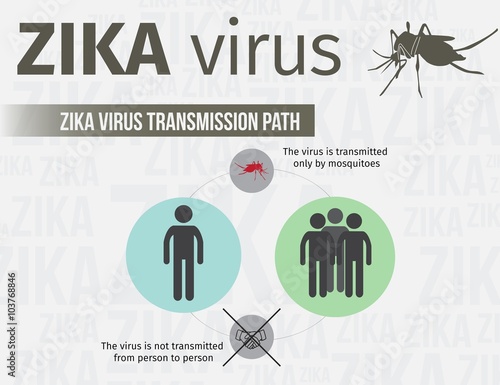 Obraz na płótnie Zika virus infographic template include transmission path. EPS 10 w salonie