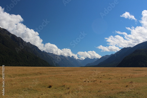 Landschaft-Neuseeland © bummi100