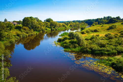 River with thickets of trees and shrubs along the banks. Bright sunny summer day. Surface of the water with the reflection of blue sky. Rural landscape.