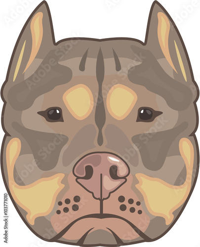 Pitbull vector