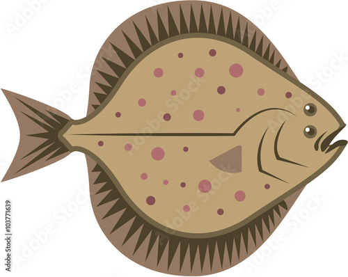Flatfish