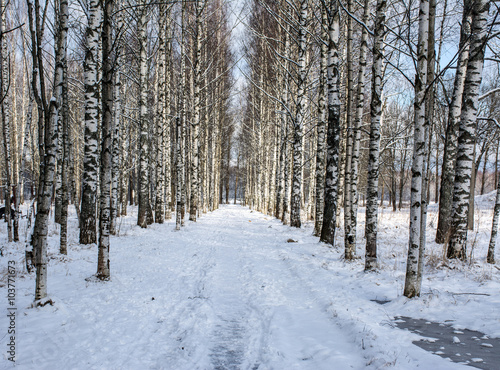 Berezov alley