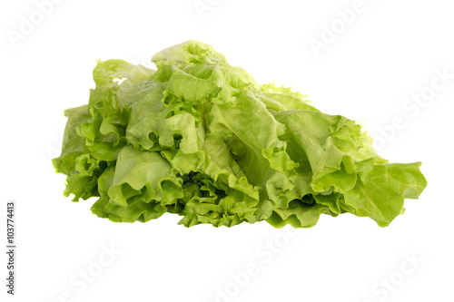 bundle of green leaves of lettuce