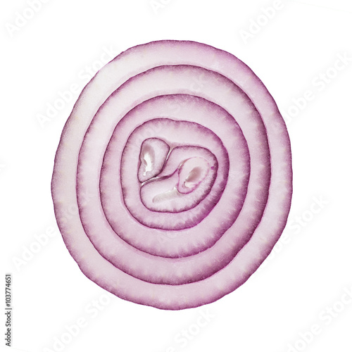 Slice of red onion