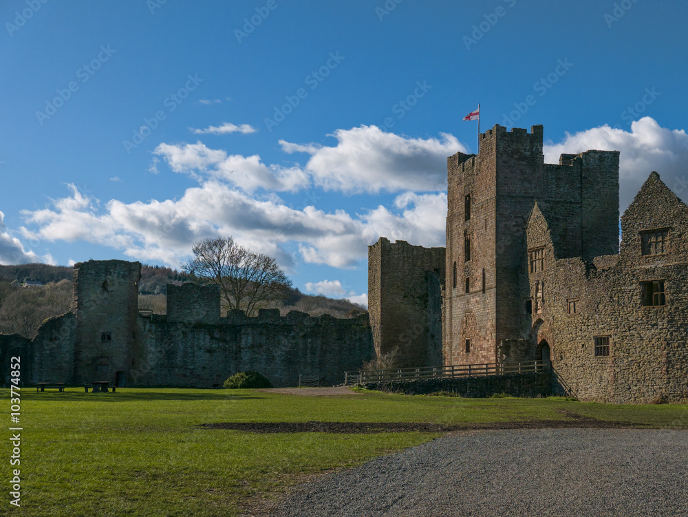 Naklejka premium ludlow castle