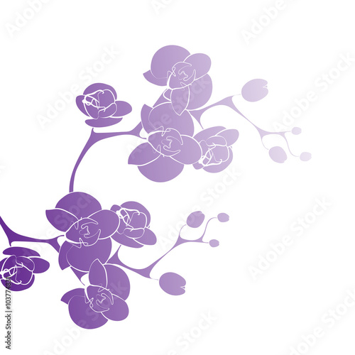 Flower orchid decoration cover design