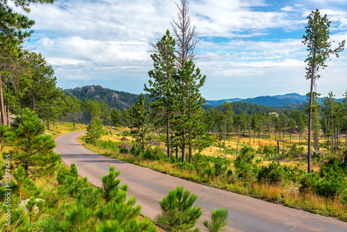 Tablou pe pânză Beautiful scenic road passing through Custer State Park