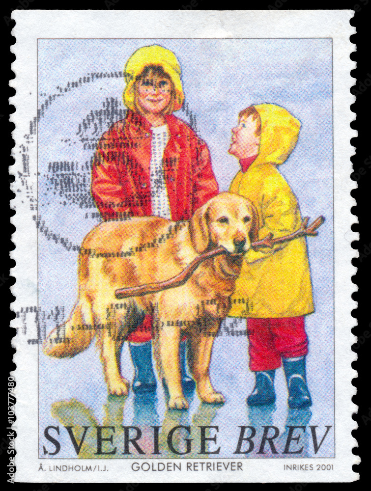 Stamp printed in the Sweden shows Golden retriever and children