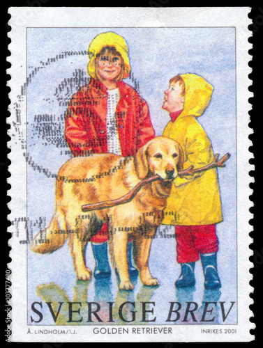 Obraz na płótnie Stamp printed in the Sweden shows Golden retriever and children w salonie