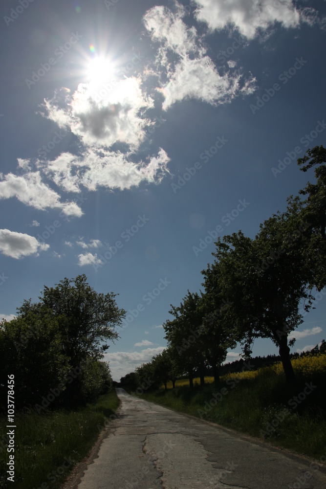 Fototapeta premium Side road in countryside with trees along