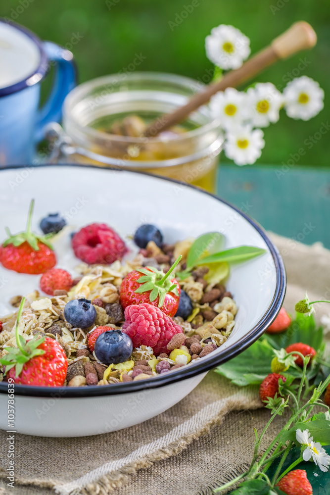 Tasty breakfast with yogurt and berry fruits in sunny day Tasty breakfast with yogurt and berry fruits in sunny day