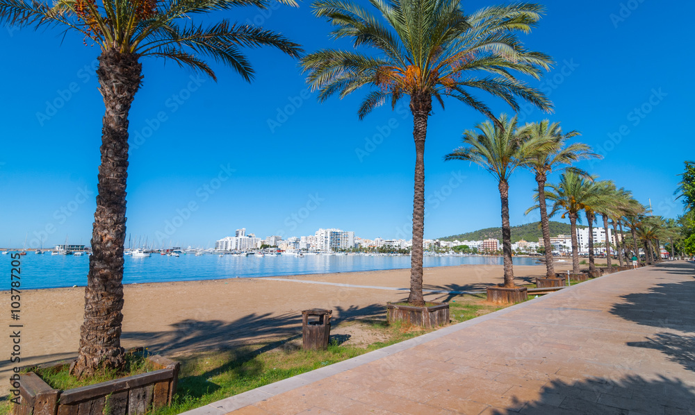 Obraz premium Mid morning sun, walk along the beach near the city. Warm sunny day along the water's edge in Ibiza, St Antoni de Portmany Balearic Islands, Spain - city by the bay, row of palms lines the beach.