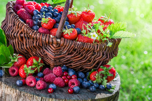Fresh berry fruits in basket