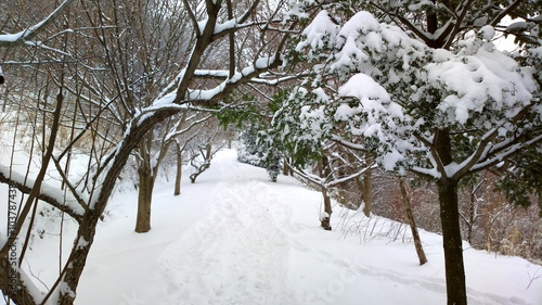  The Snow in osaka, japan