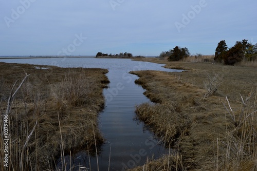 Barnegat Bay